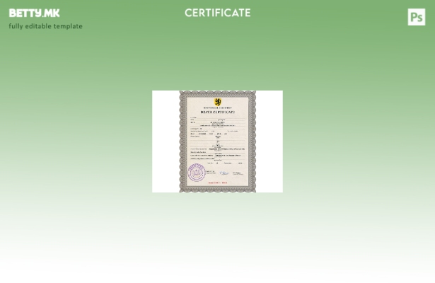 модерен стил Русија Одделот за граѓански матични книги на Московскиот шаблон за 